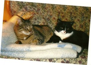 28936_113750781995484_900142_n